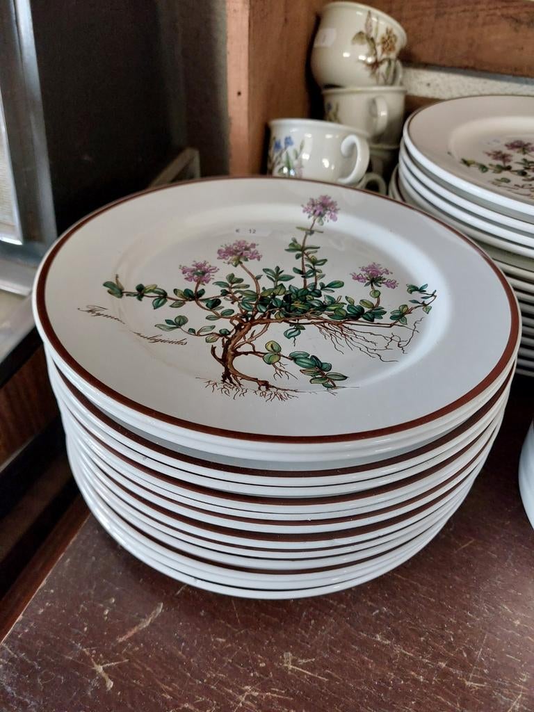 Assiettes à dessert Villeroy et Boch  Décor : Botanica, Enlèvement ou Envoi