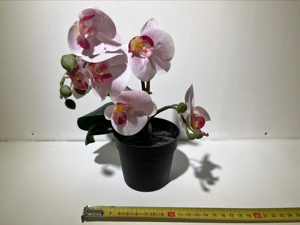 Orchidée artificielle, Envoi