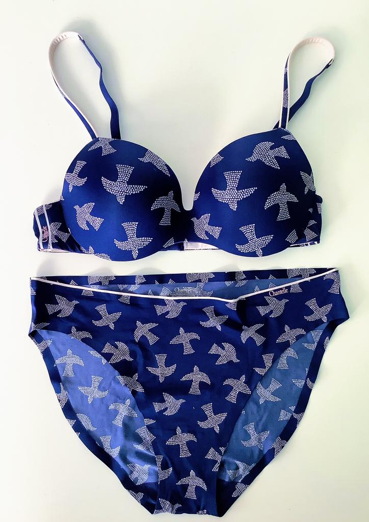 Lingerie set Chantelle, Kleding | Dames, Ondergoed en Lingerie, Ophalen of Verzenden, Setje