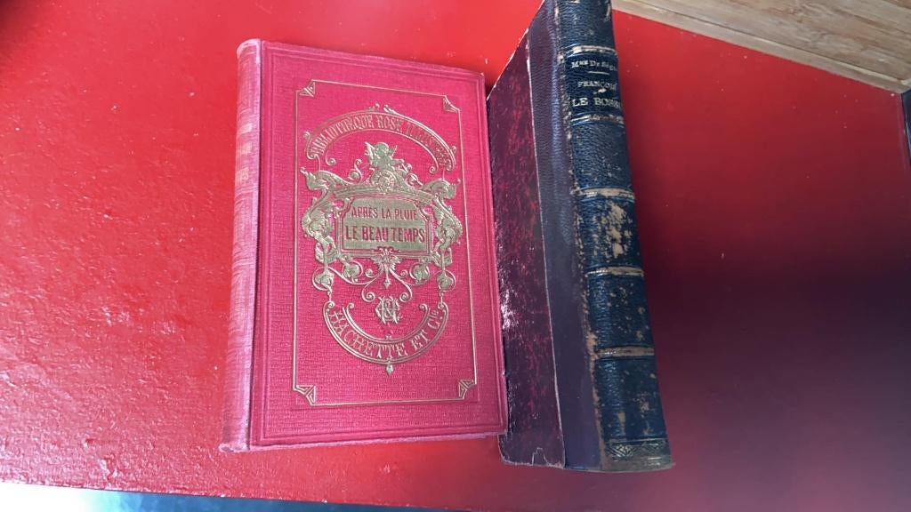 Lot de 2 anciens livres "Contesse de Ségur", Ophalen