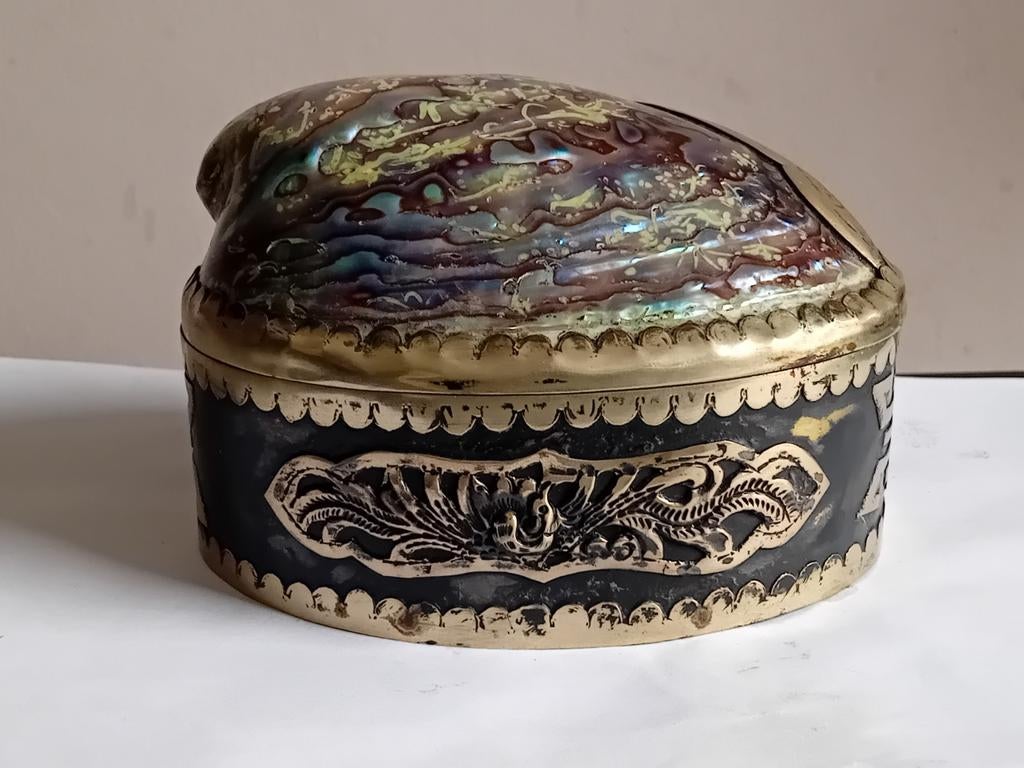 Abalone juwelendoosje, Ophalen of Verzenden, Gebruikt, Overige kleuren, Hardcase