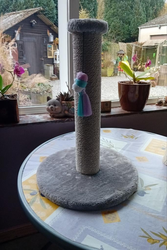 Arbre à chat, Enlèvement