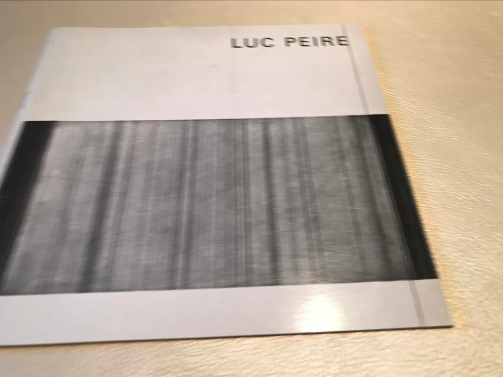 Luc Peire formica werken 20pag, Boeken, Ophalen of Verzenden, Zo goed als nieuw, Schilder- en Tekenkunst