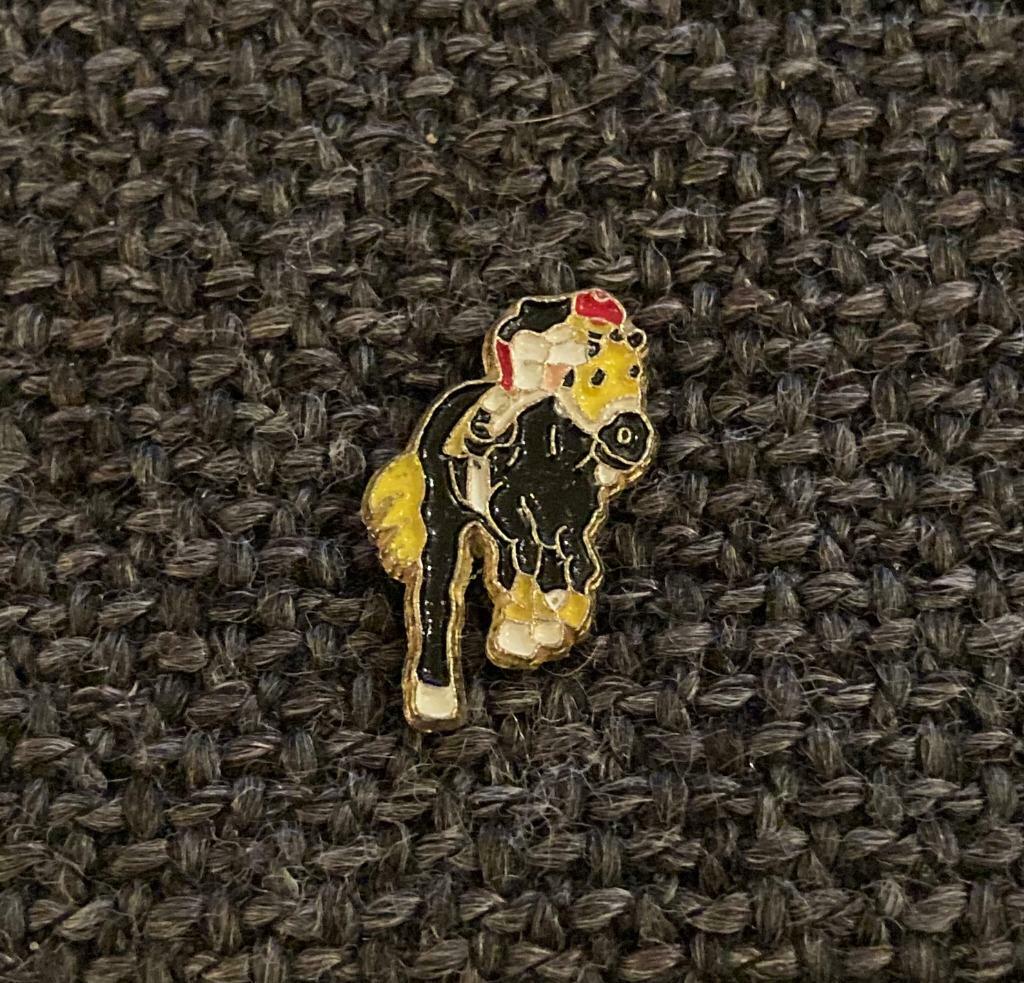 PIN - PAARDRIJDEN - HORSE RIDING - PAARD - CHEVAL, Envoi, Utilisé, Sport, Insigne ou Pin's