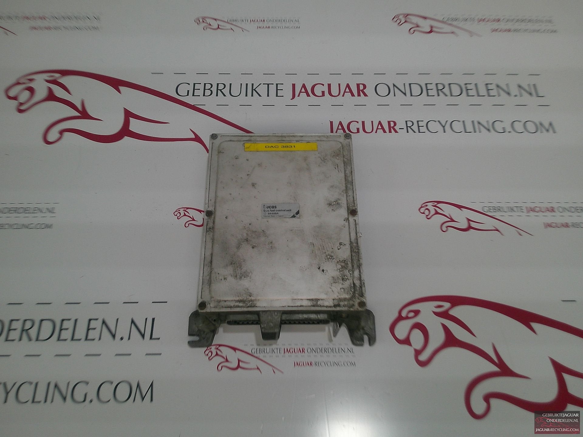 Motor ECU Jaguar XJS 3.6 DAC3831, -, Origine de la pièce connue, Utilisé, Jaguar
