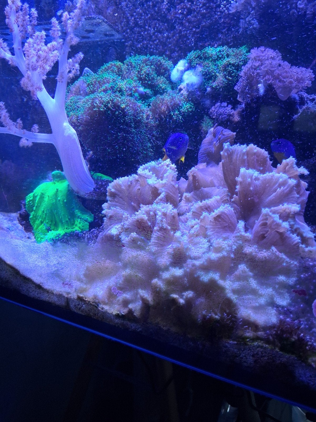 zeeaquarium