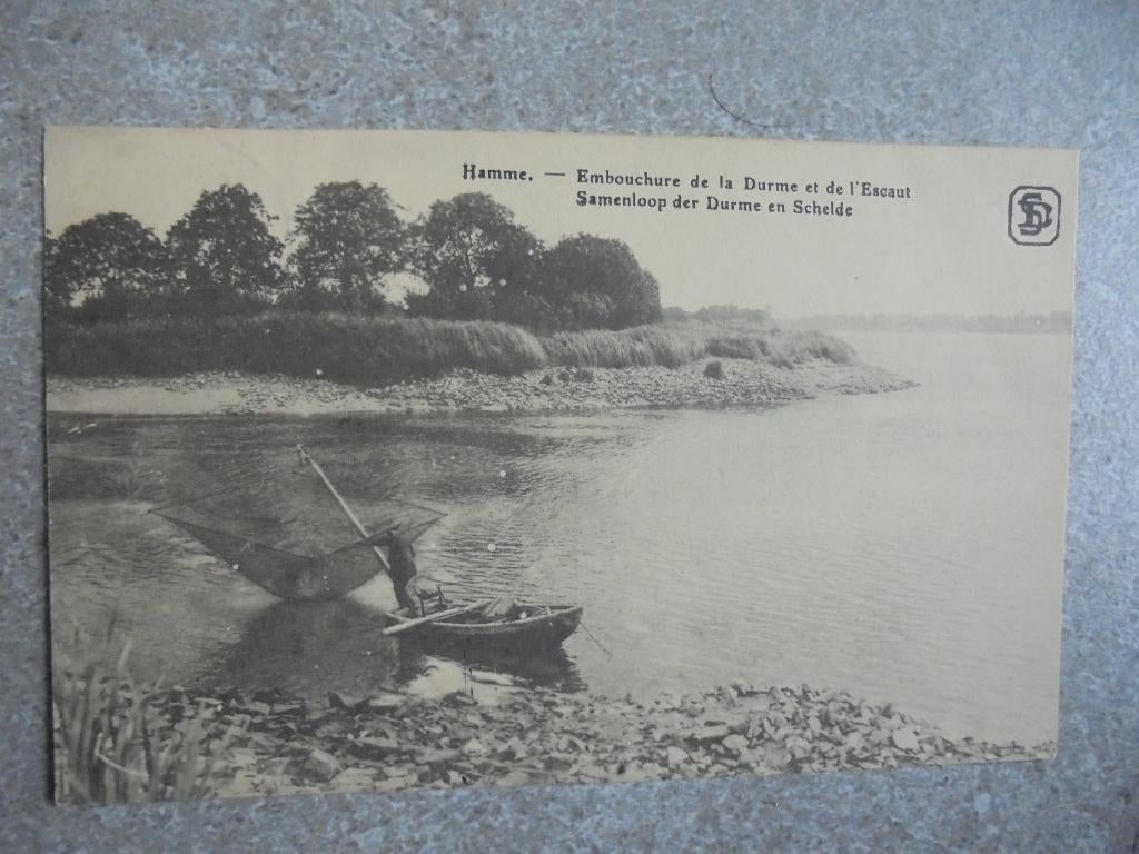 Beschreven oude postkaart Hamme Samenloop Der Durme  Schelde, Verzenden
