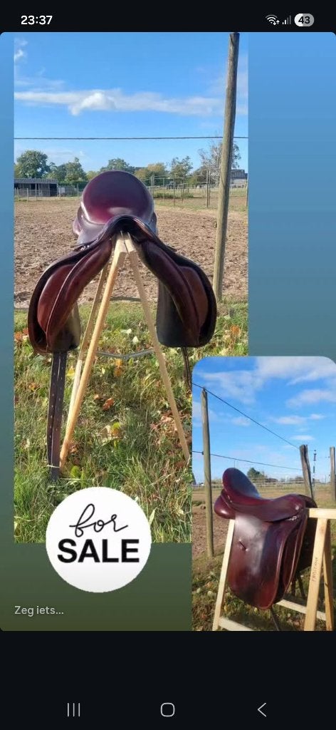 Albion dressuurzadel, Dieren en Toebehoren, Paarden en Pony's | Zadels, Ophalen, L (17.5 inch), Dressuur, Overige merken