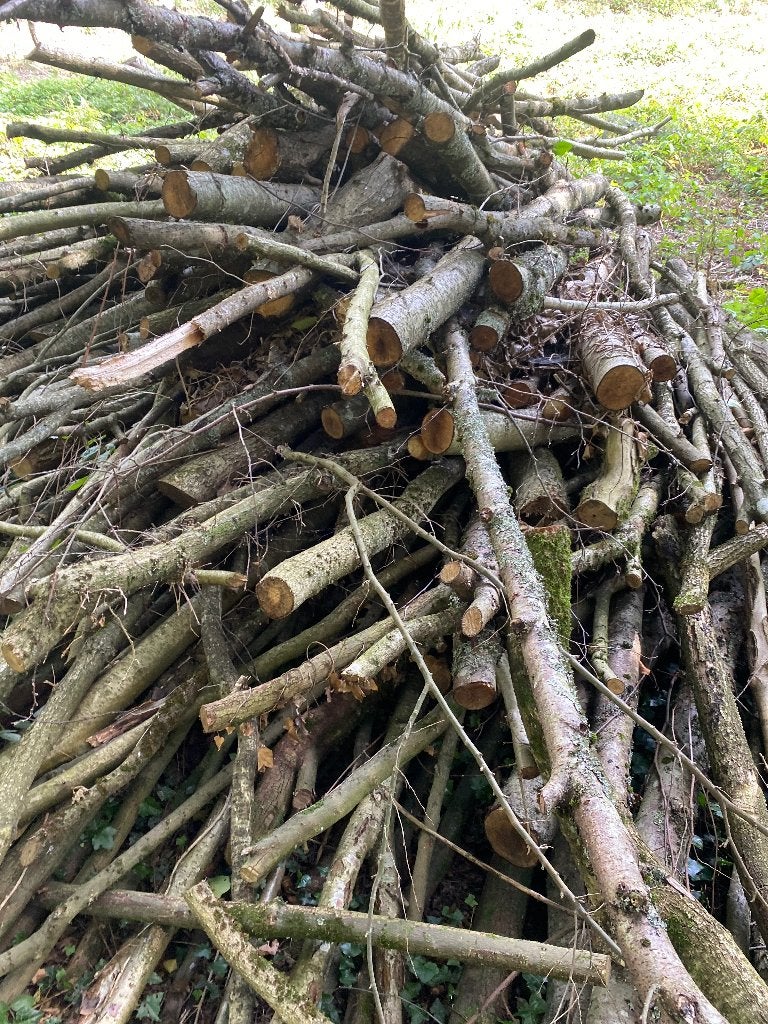 Bois de chauffage, Enlèvement, Branches