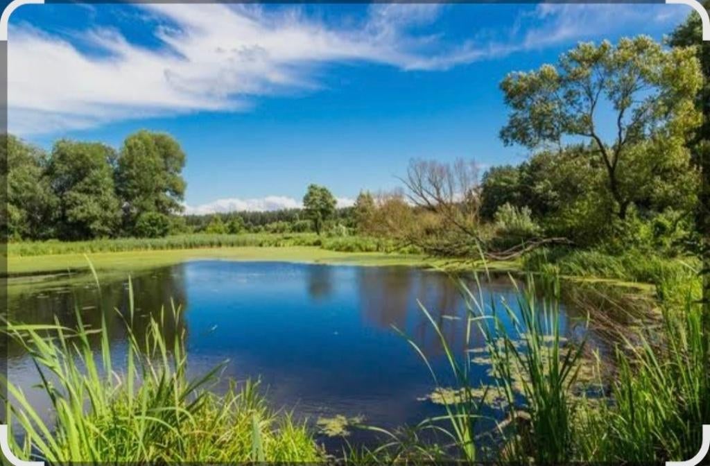 Gezocht: vijver / water te huur (Zele – Hamme – Dendermonde), Immo, Maisons à louer