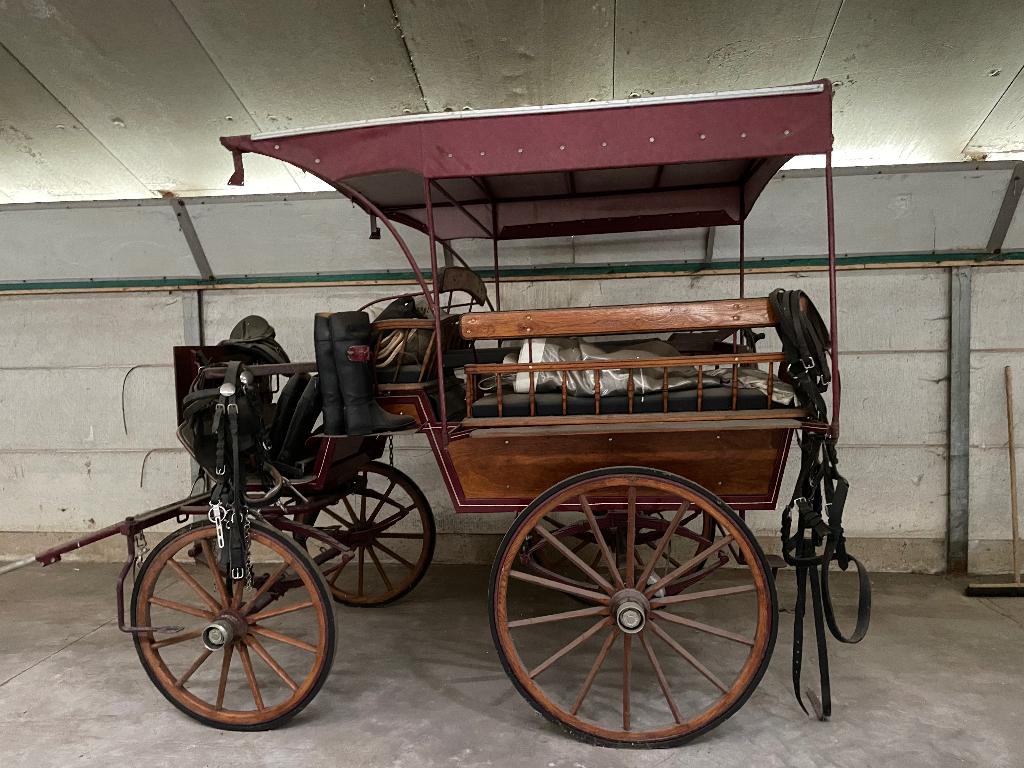 Koets te koop, Dieren en Toebehoren, Gebruikt, Wagonette, Paard, Gesloten
