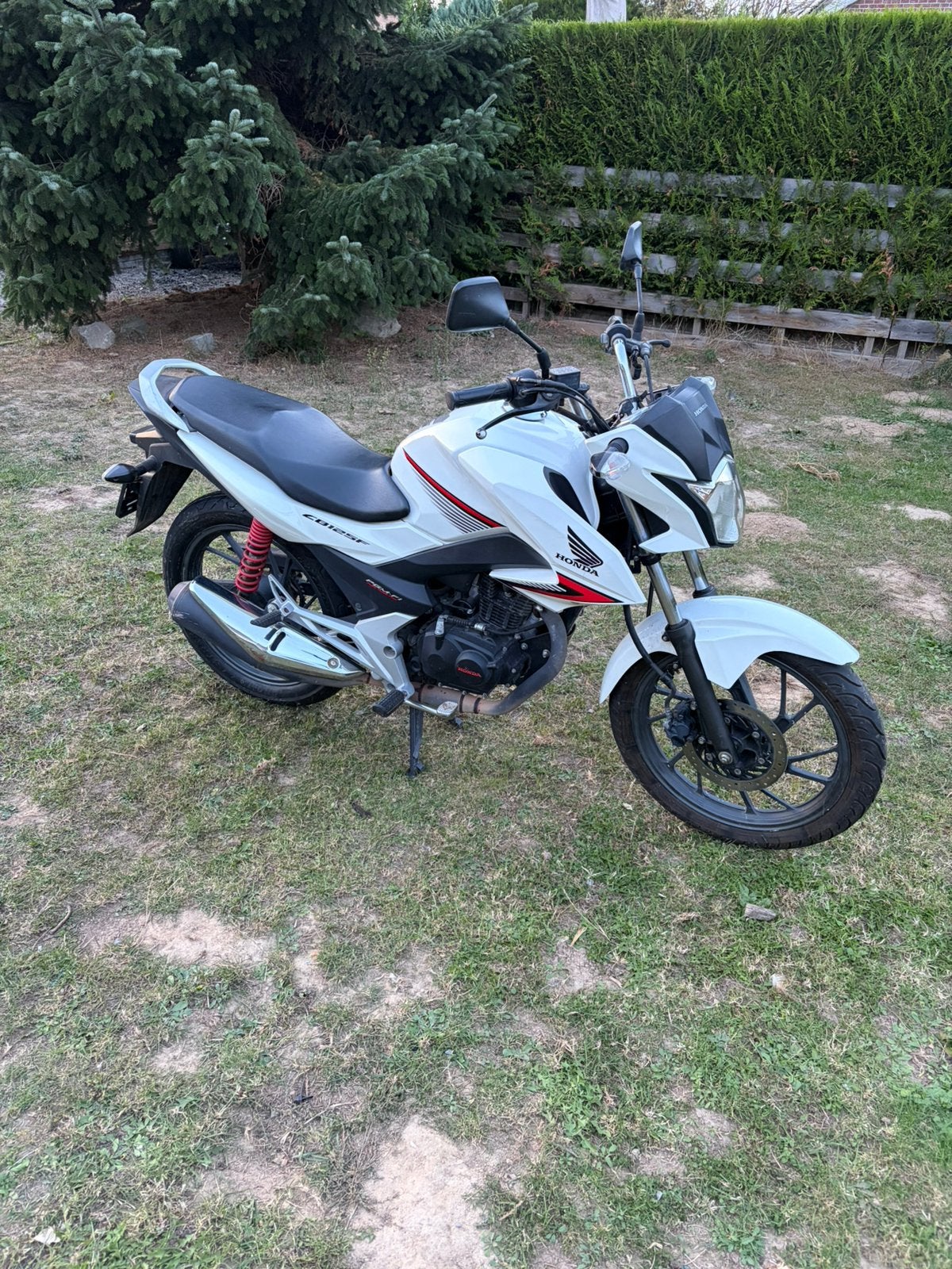 CBF 125 2016, Motoren, Particulier