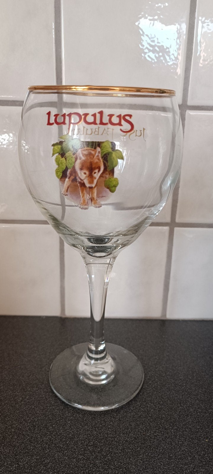 Bierglazen Lupulus nieuw,6stuks in totaal.Afhalen te Kalken., Verzamelen, Ophalen