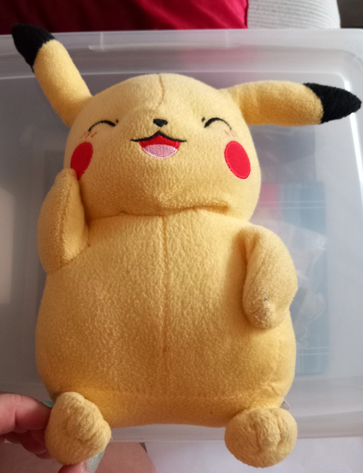 pokémon knuffels, Enlèvement, Comme neuf