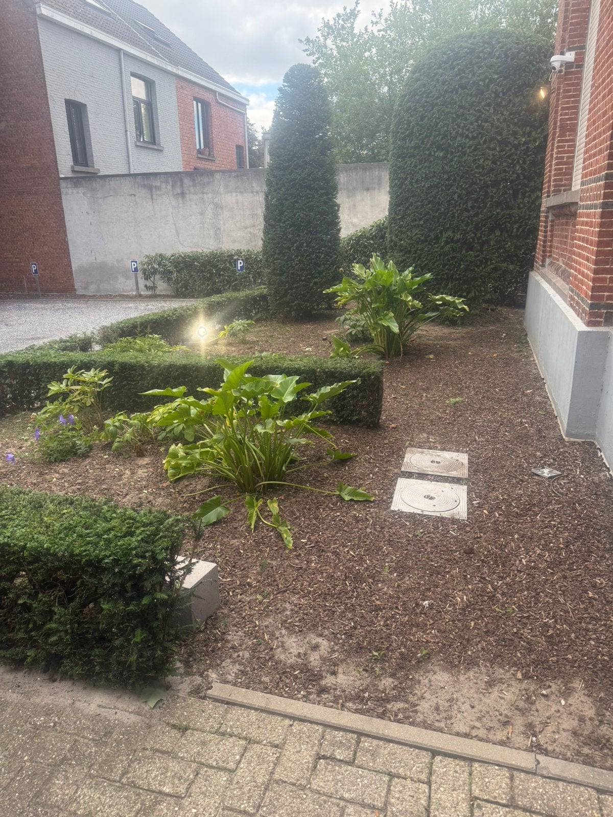 Tuin onderhoud,maaien,snoeien,scheren.tuin en terras maken, Tuin en Terras, Ophalen of Verzenden