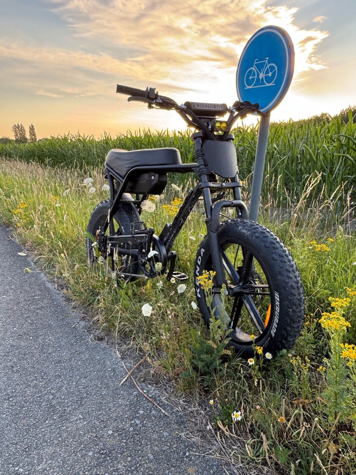 Fatbike Luxi V8 Max., Vélos & Vélomoteurs, Enlèvement