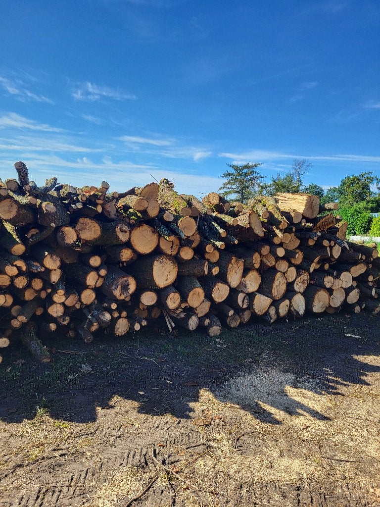 Brandhout, 6 m³ ou plus, Enlèvement, Chêne