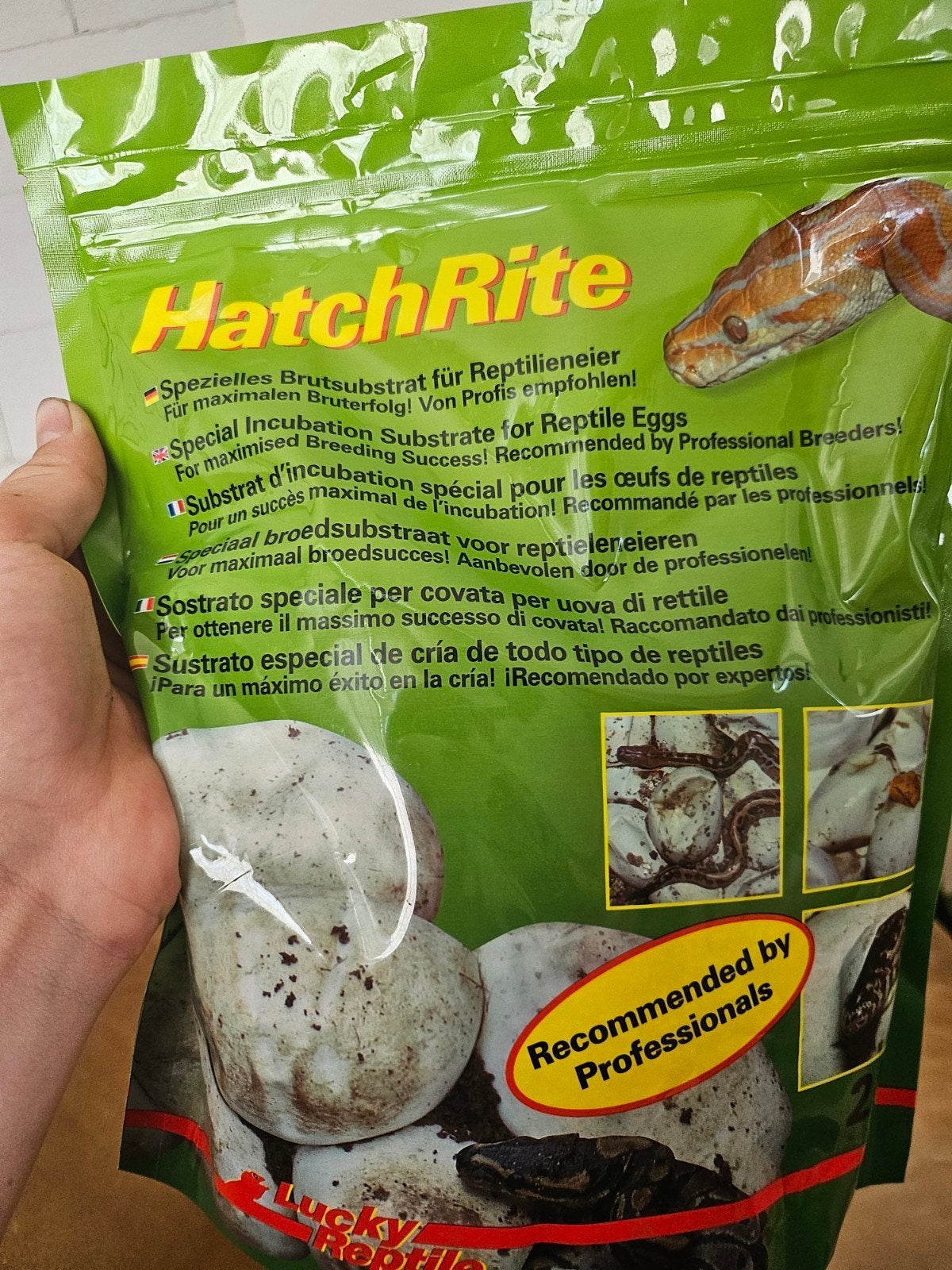Zand voor eitjes in uit te laten broede., Dieren en Toebehoren, Ophalen