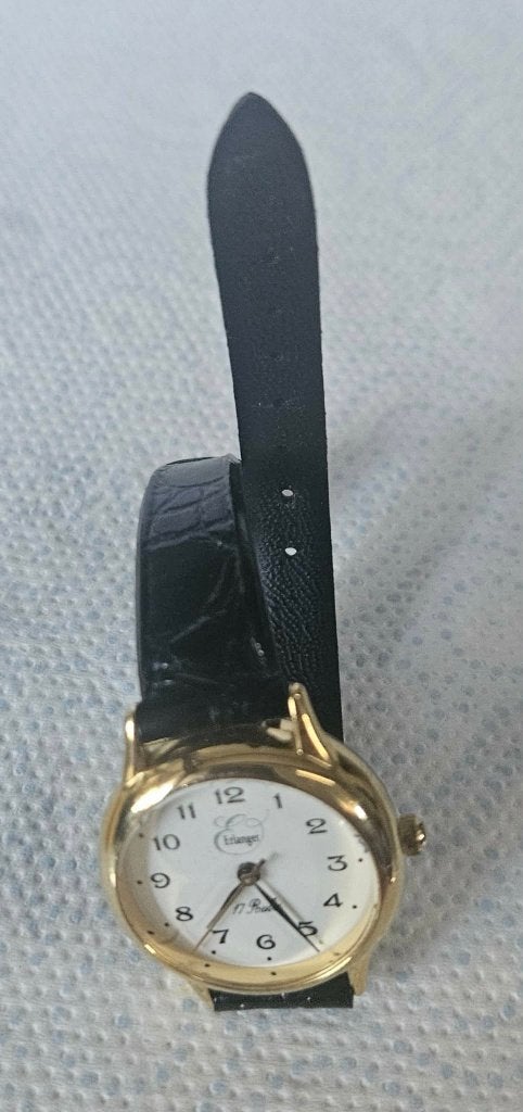 Montre Erlanger Femme 17 Rubis Mécanique Vintage (MW98), Enlèvement ou Envoi