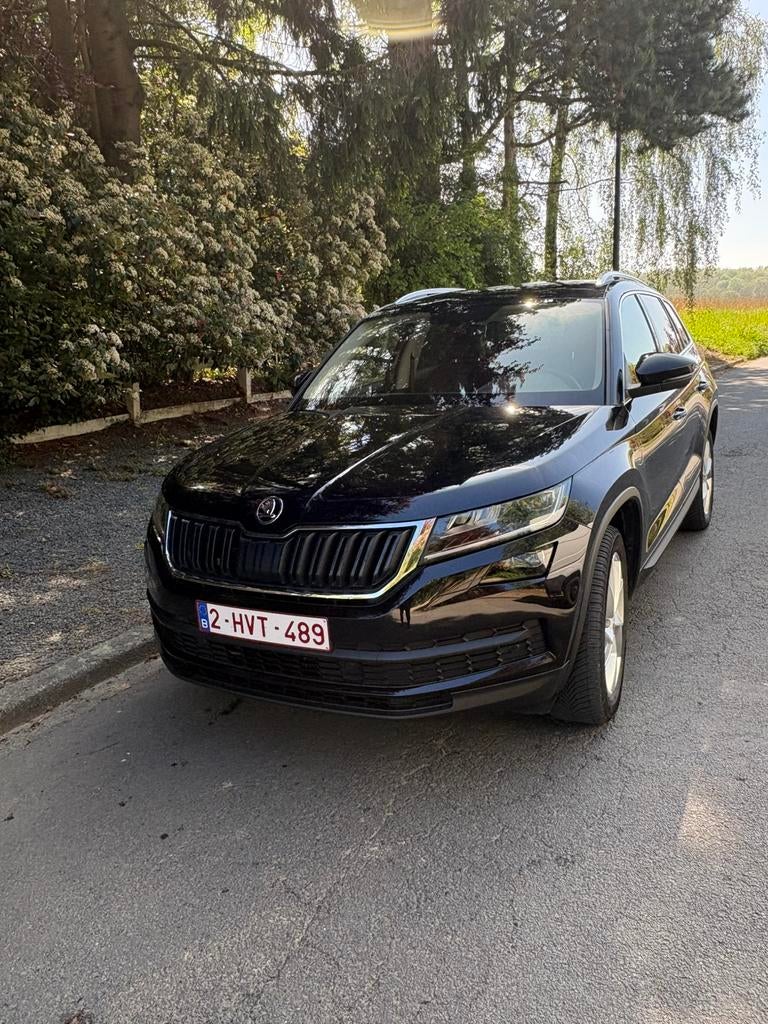 Skoda Kodiaq 1.4, Enlèvement, Skoda