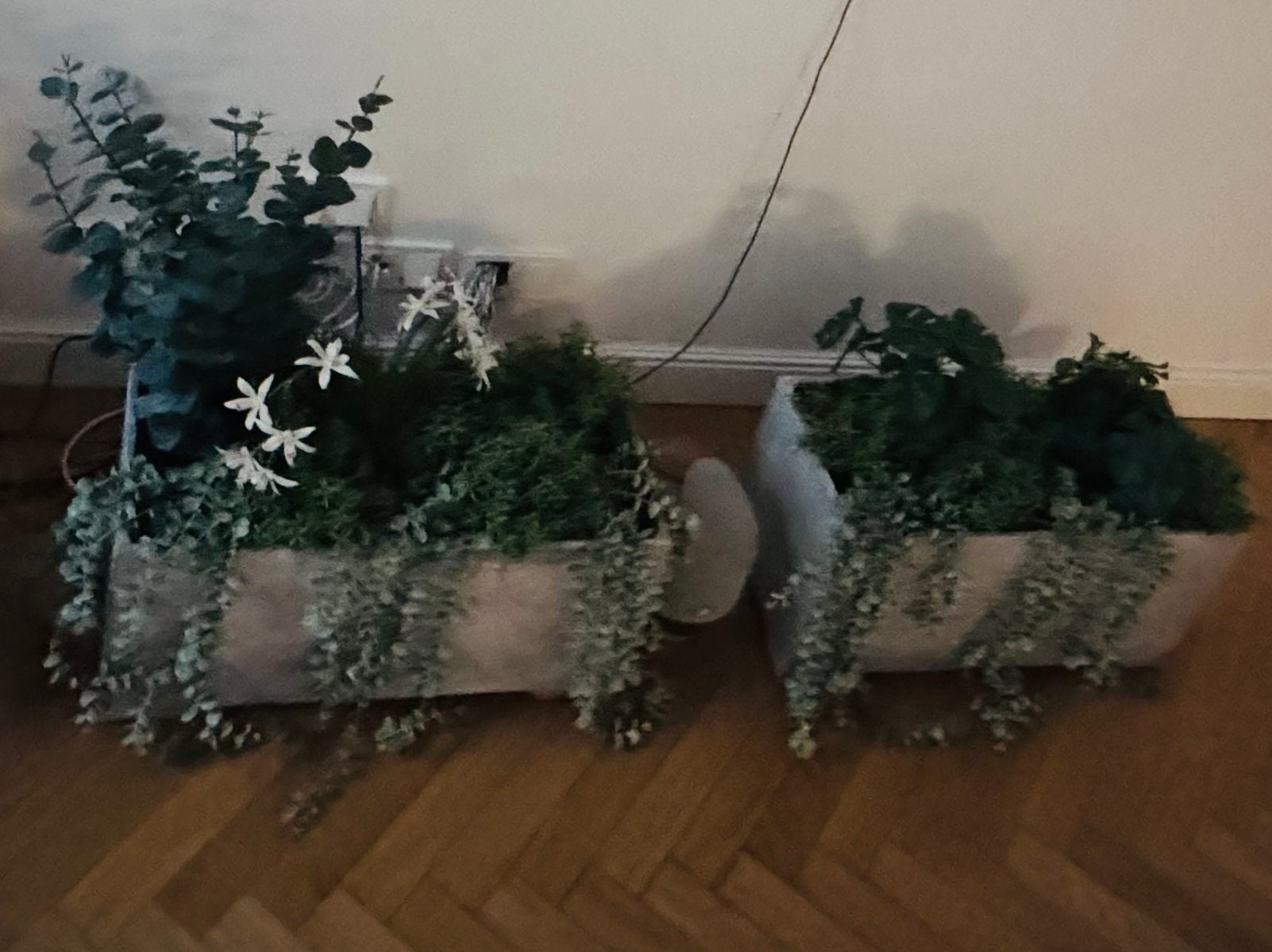 Plastiek planten, Huis en Inrichting, Ophalen, Zo goed als nieuw