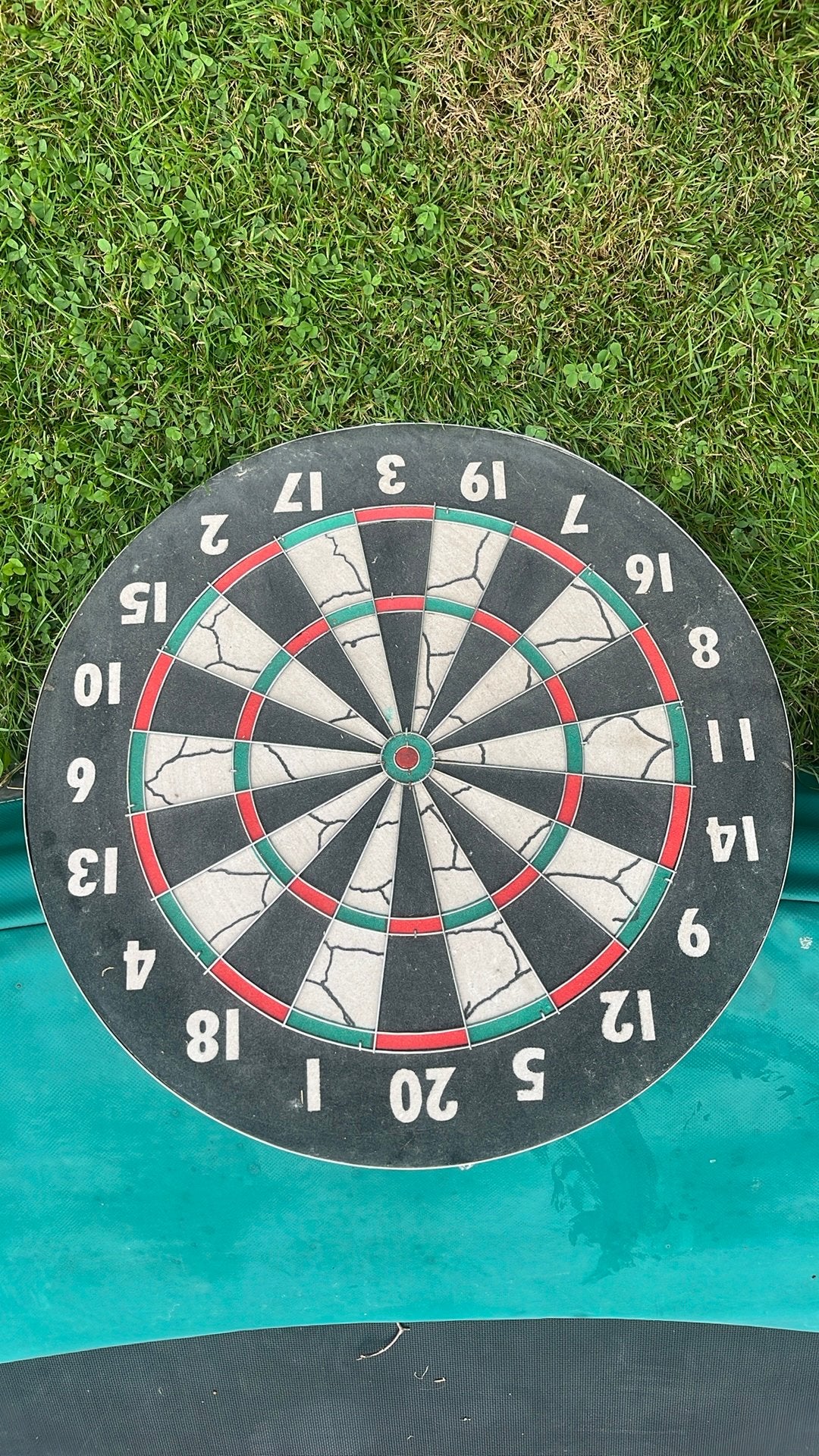 Dartsbord, Sport en Fitness, Darts, Ophalen, Zo goed als nieuw, Dartbord
