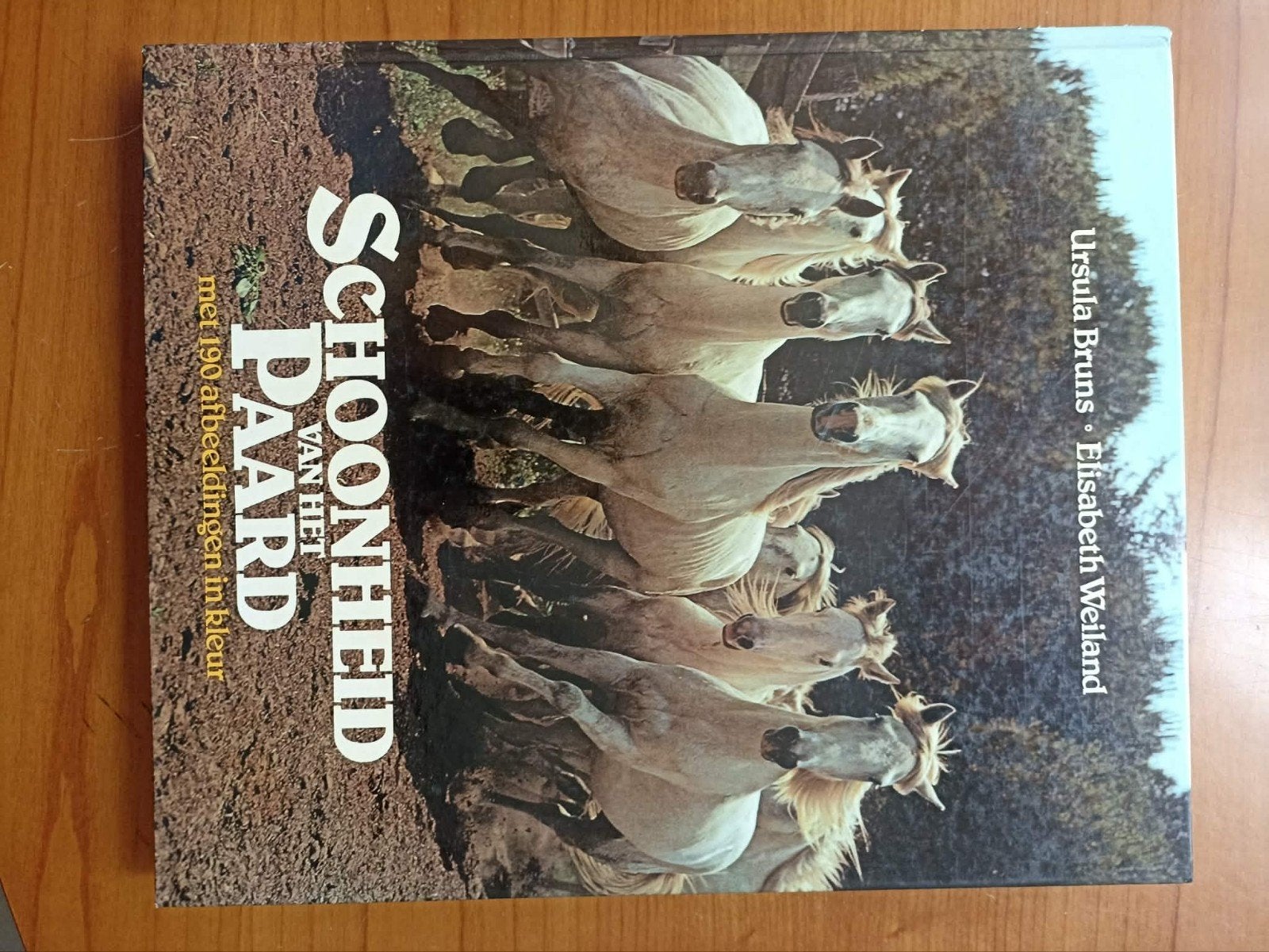 boek schoonheid van het paard, Boeken, Ophalen of Verzenden
