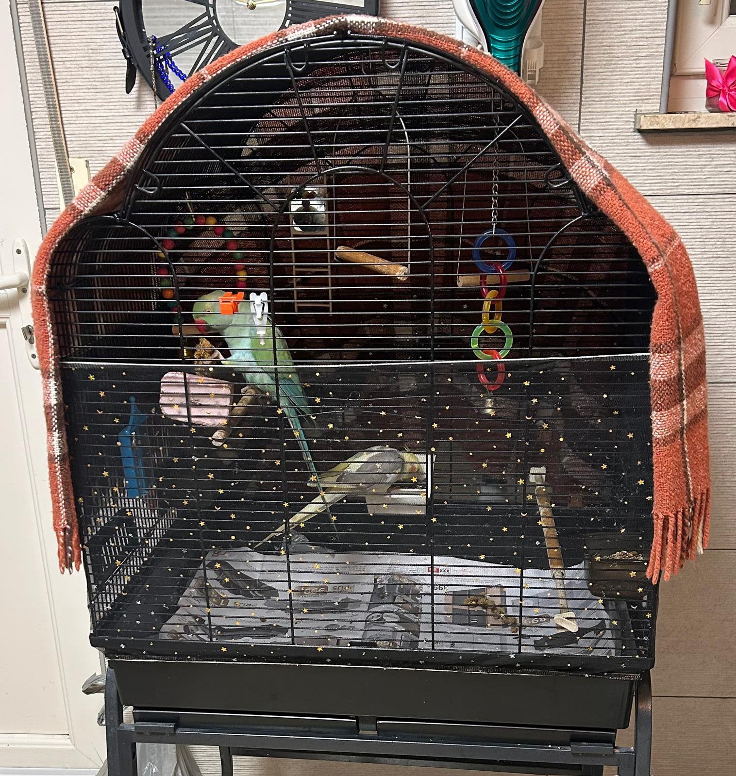 Valkparkiet & Halsbandparkiet te koop, Dieren en Toebehoren, Ophalen, Zo goed als nieuw, Vogelkooi
