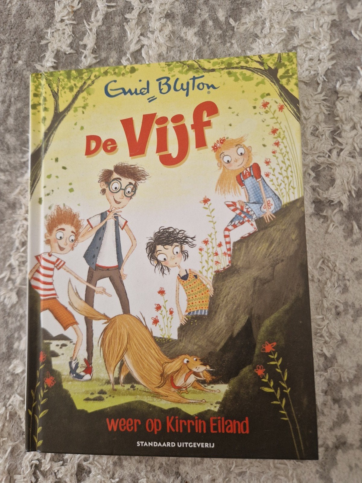 Enid Blyton - De Vijf weer op Kirrin Eiland, Livres, Livres pour enfants | Jeunesse | 10 à 12 ans, Enlèvement ou Envoi, Enid Blyton