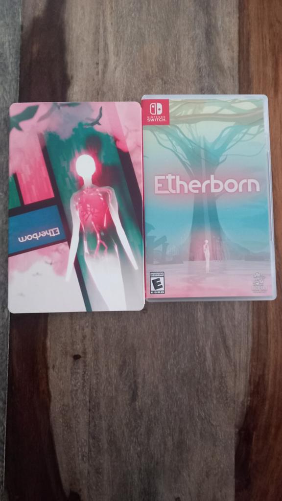 Etherborn Nintendo Switch collector limited iam8bit poster, Consoles de jeu & Jeux vidéo, Jeux | Nintendo Switch, Enlèvement ou Envoi