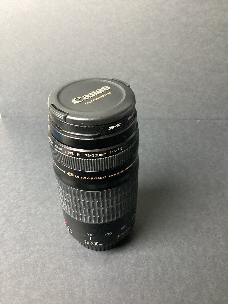 Objectif Canon Ultrasonic 75-300mm, Enlèvement, Utilisé, Canon