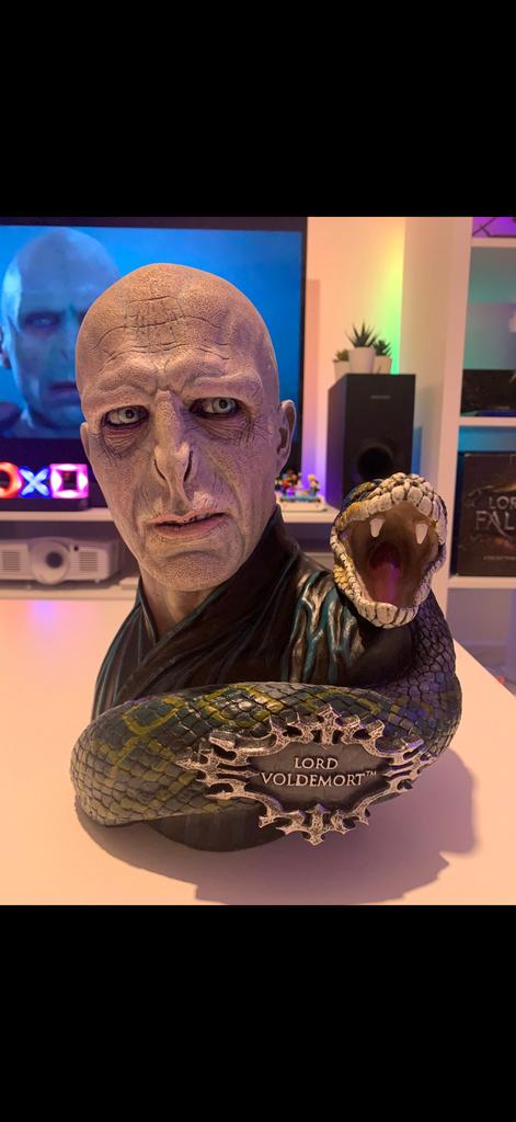 Buste voldemort, Collections, Enlèvement, Comme neuf