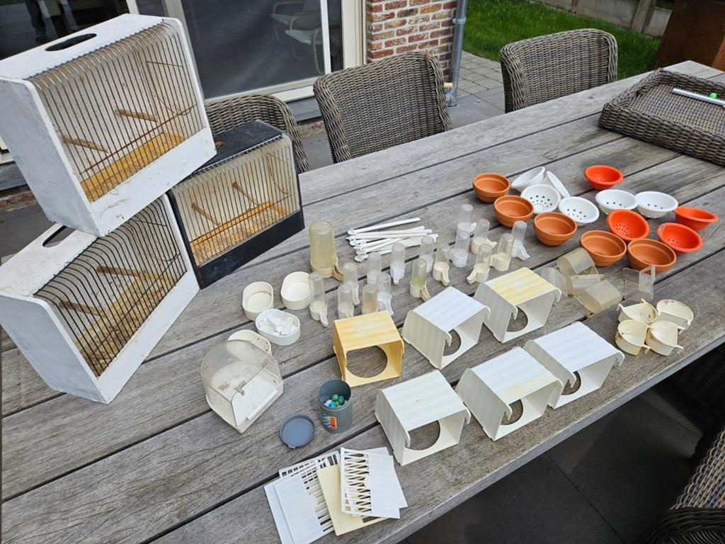 Benodigdheden vogels, Enlèvement