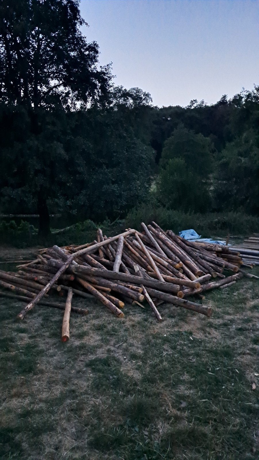 HOUTEN PALEN VAN 5 M EN 3 M – DRINGEND!, Ophalen, Palen