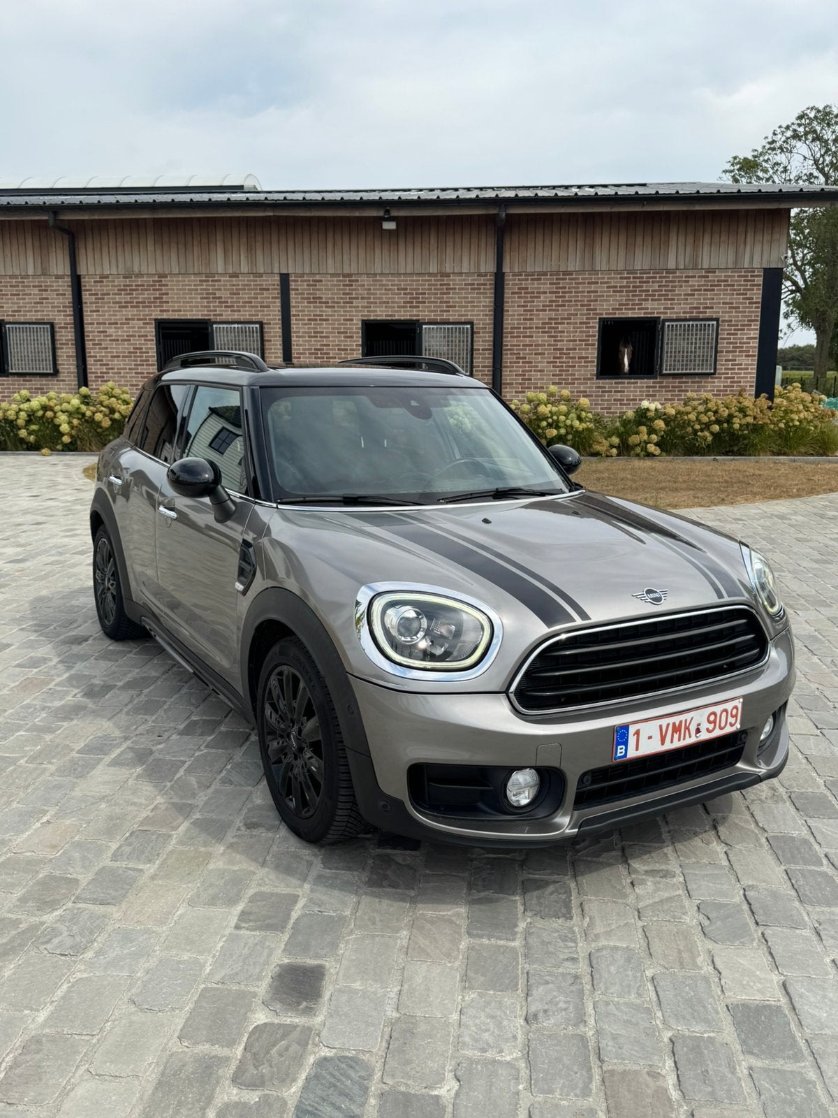 Mini coutryman 2019, Countryman, Leder, Particulier, 3 zetels