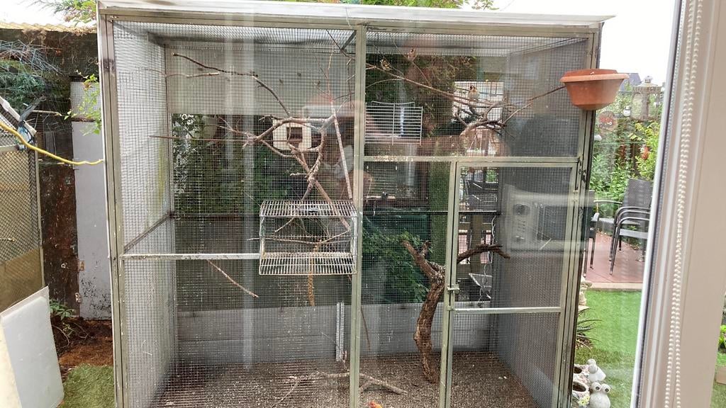 Aluminium voliere te koop, Dieren en Toebehoren, Ophalen, Gebruikt, Aluminium, Volière
