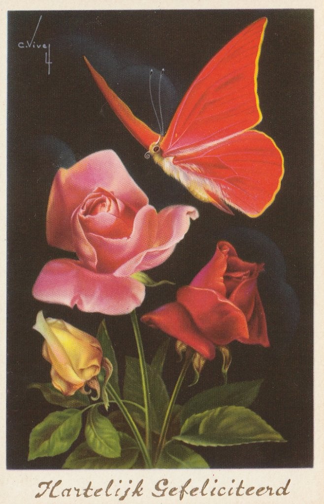EXOTISCHE  VLINDER  en  ROZEN, Ophalen of Verzenden, Ongelopen, Overige soorten