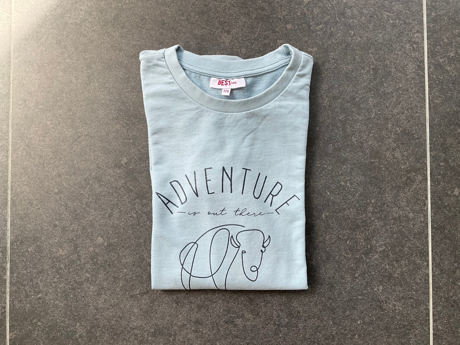 Zomerpull jongens, Enfants & Bébés, Vêtements enfant | Taille 170, Enlèvement ou Envoi, Utilisé, Garçon