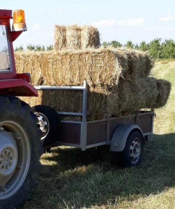 Kleine botten hooi te koop, Dieren en Toebehoren, Ophalen, Vee
