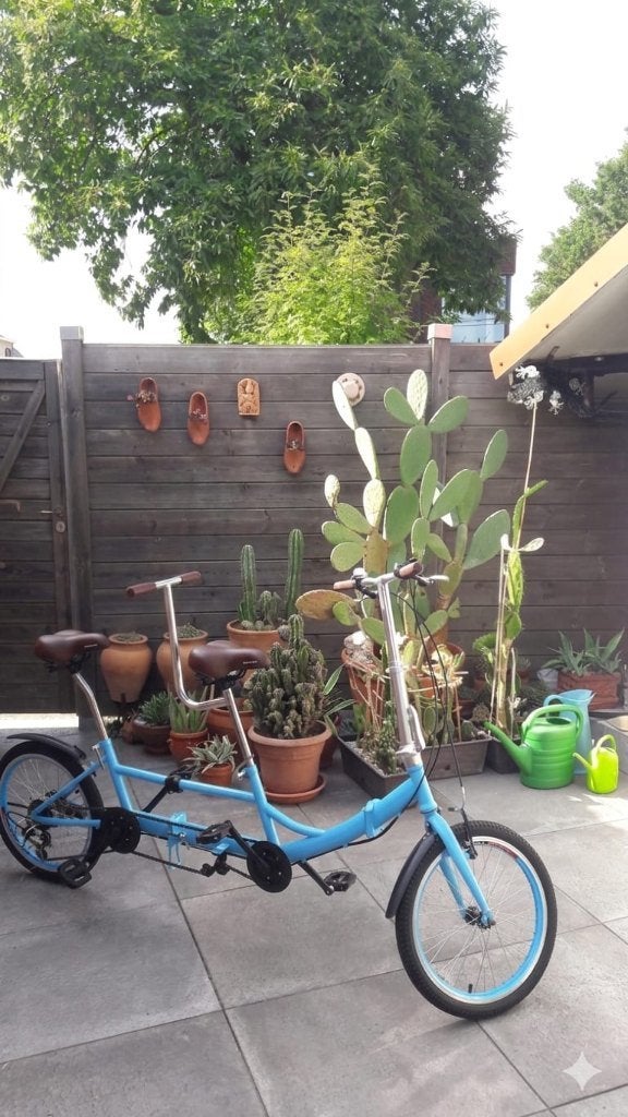 Tandem, Ophalen, Zo goed als nieuw