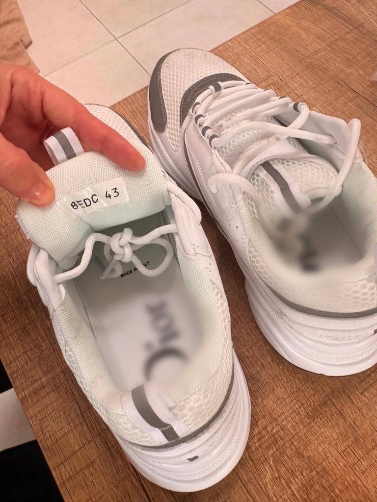 Dior b22, Ophalen, Wit, Sneakers, Gedragen