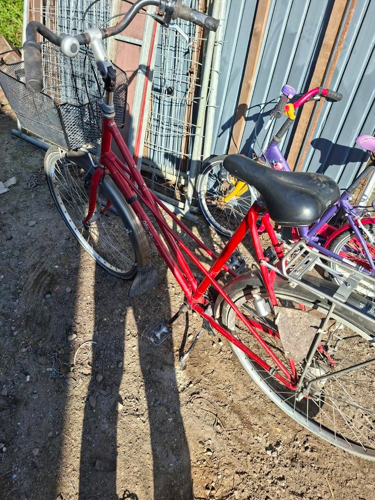 Vélo pour femme, Enlèvement