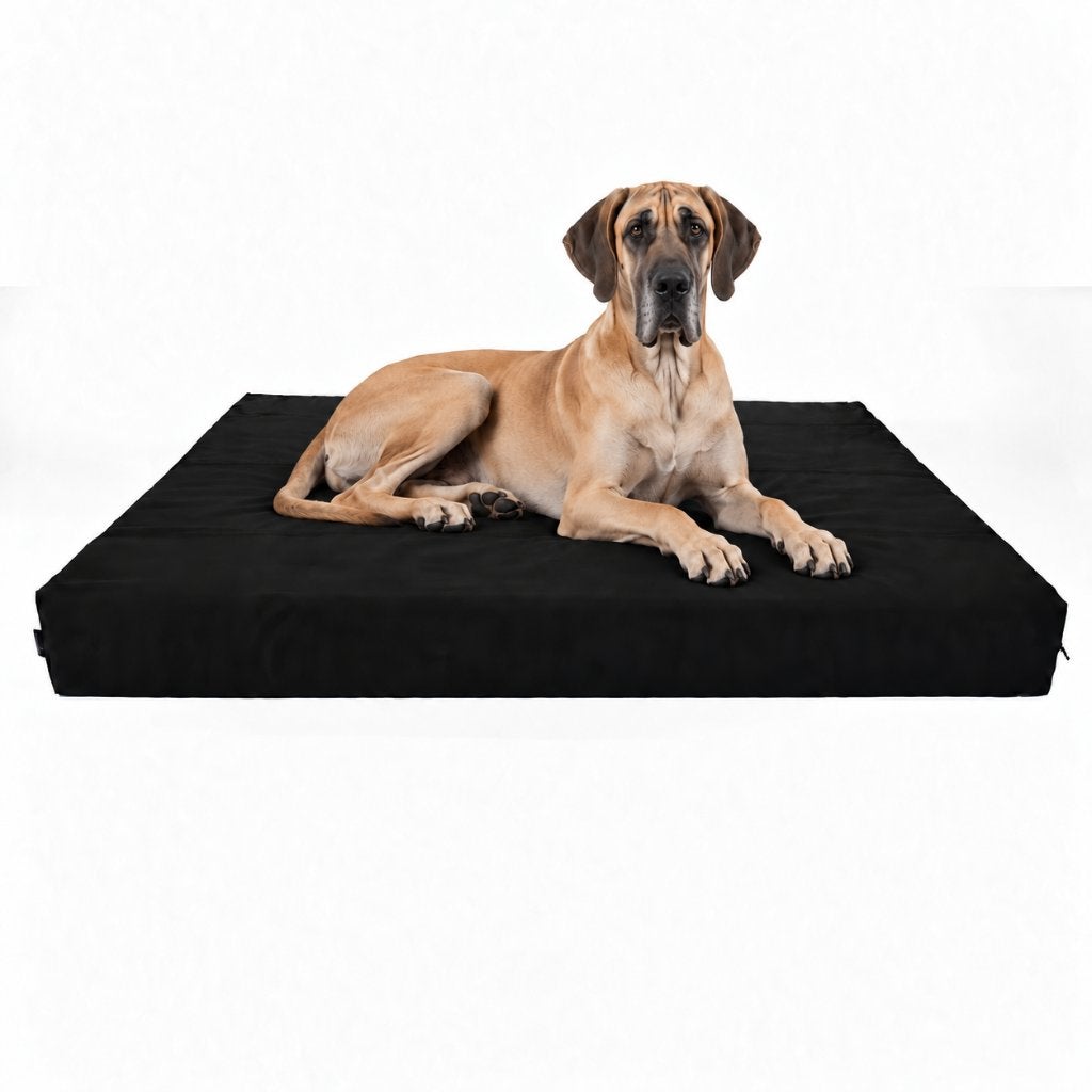 XXL orthopedische hondenmand – Deense Dog, Berner Sennen, Dieren en Toebehoren, Verzenden, Nieuw, Polyester