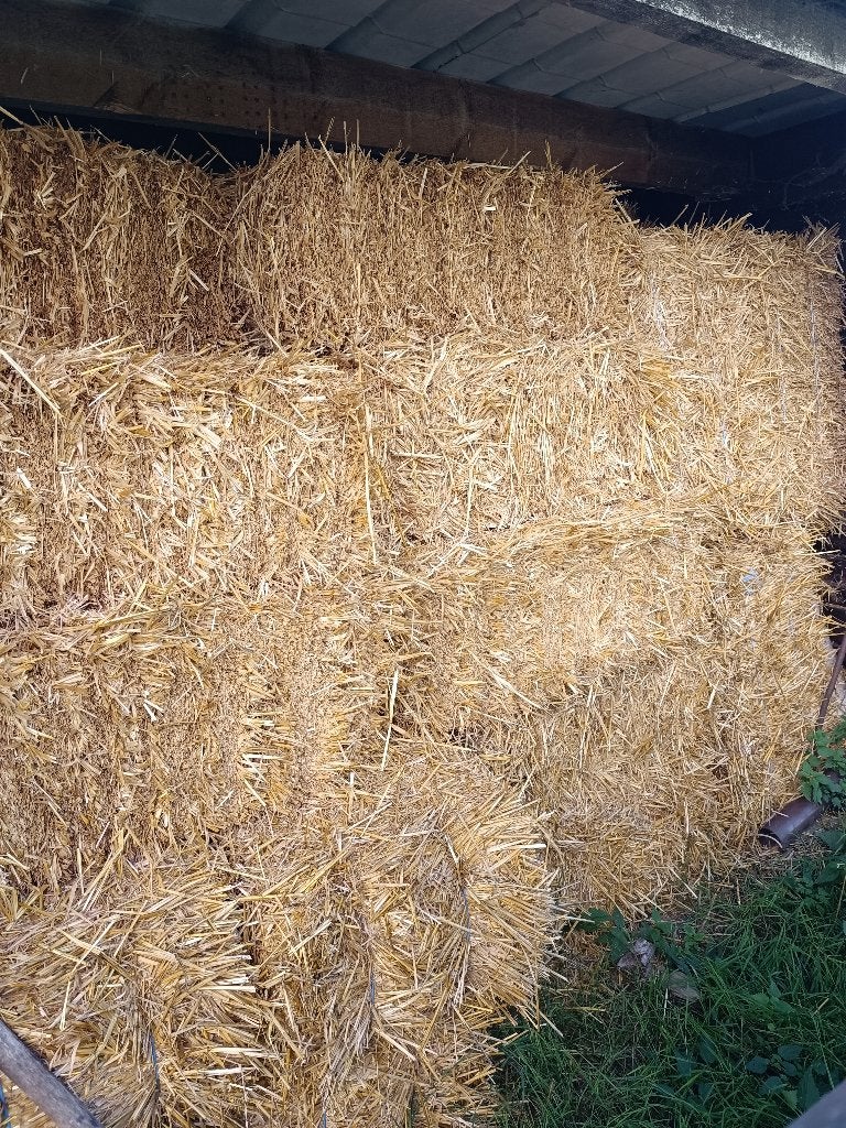 botjes stro te koop, Dieren en Toebehoren, Ophalen, Vee