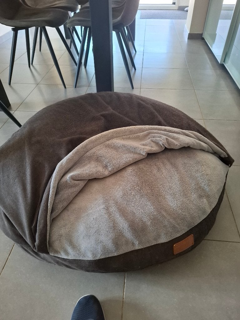 Cosy cave, Animaux & Accessoires, Paniers pour chiens, Enlèvement