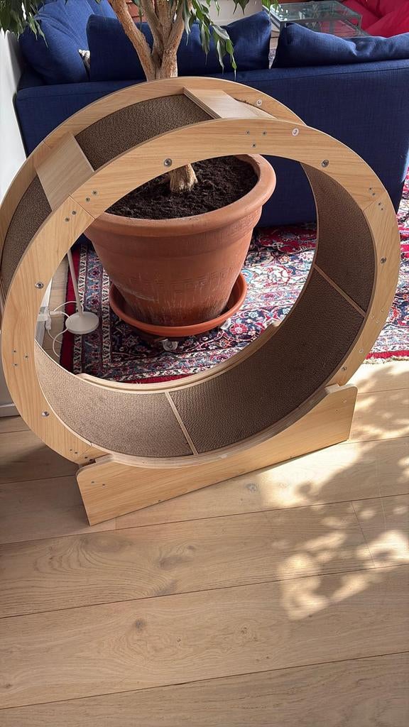 Roue d'exercices pour chats, Enlèvement ou Envoi