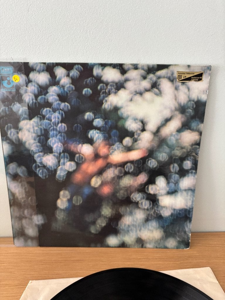 LP - Pink Floyd - Masqué par les nuages, CD & DVD, Vinyles | Rock, Rock psychédélique, Enlèvement ou Envoi, Utilisé, LP