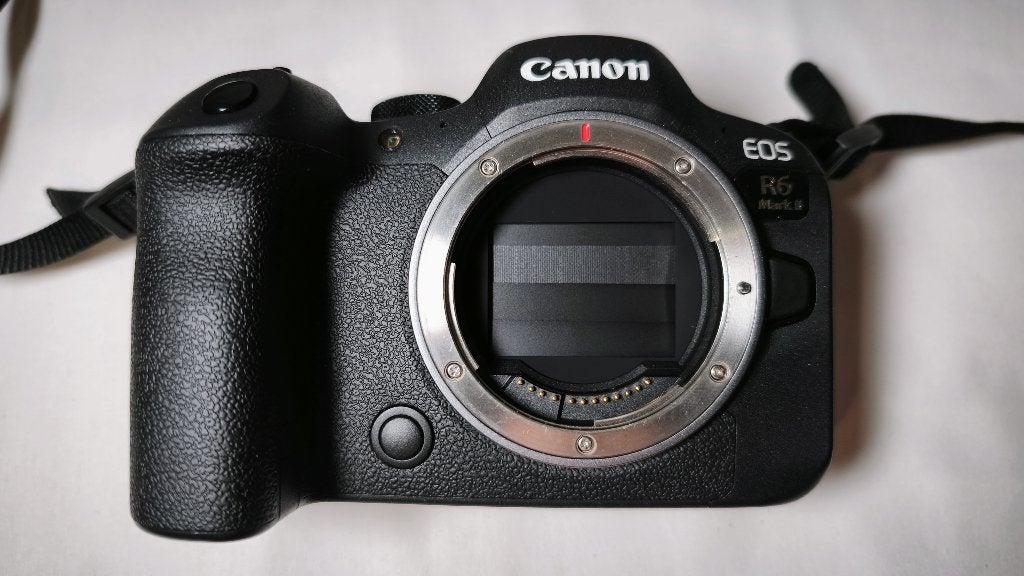 Canon R6 MkII + Warranty A Machine Of Sensitivity, TV, Hi-fi & Vidéo, Appareils photo numériques, Appareil photo bridge, Canon