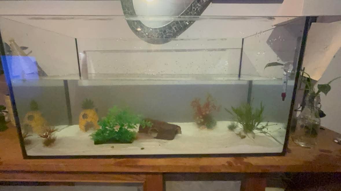 Groot aquarium, Dieren en Toebehoren, Ophalen, Gebruikt, Leeg aquarium, Overige merken