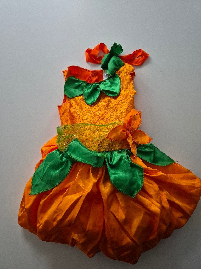 Halloween kleedje pompoen, Enlèvement ou Envoi, Neuf, Costume